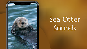 Sea Otter Sounds Screenshot 1
