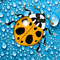 LadyBugs on water