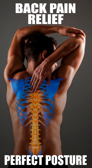 Back Pain Relief Exercise Screenshot 0