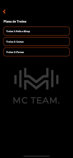 MCTEAM Screenshot 3