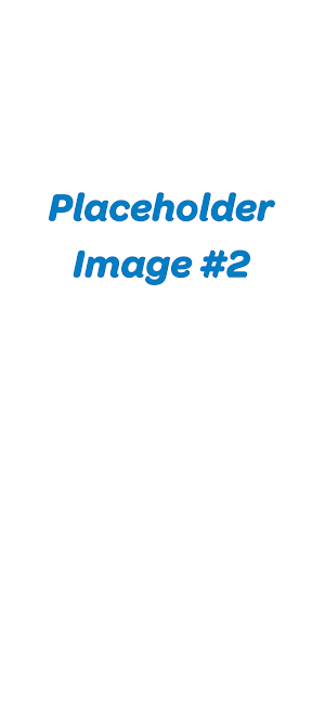 NAA Auctioneer Screenshot 3