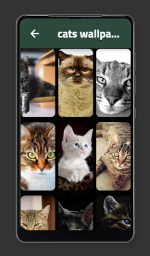 cats wallpaper Screenshot 0