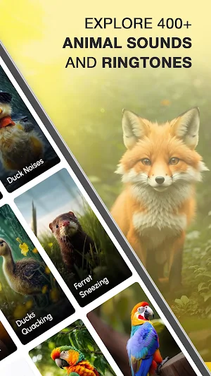 Animal Sounds and Ringtones Screenshot 1