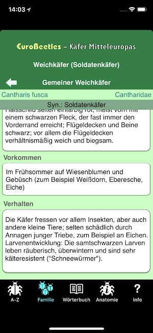 EuroBeetles Screenshot 2