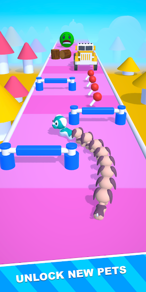 Pet Run 3D Screenshot 1