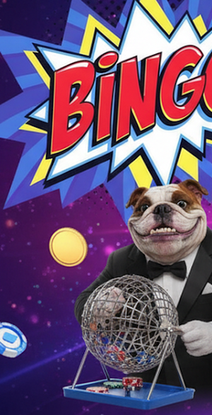 Bingo Screenshot 0