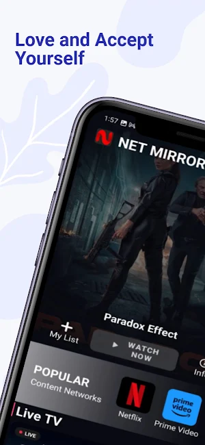 Net Mirror Screenshot 0