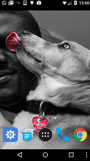 dog licking wallpaper Screenshot 1