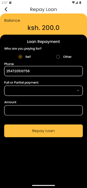 CEMES LOANS Screenshot 3