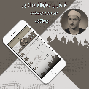 قرأن كامل المنشاوي بدون نت Screenshot 2