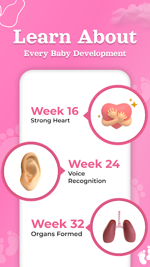 Pregnacy Tracker & Ovulation Screenshot 2
