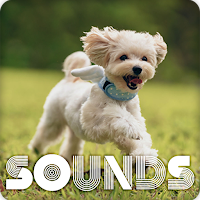 Dog Whistle Sound Ringtones