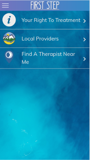 First Step Screenshot 1
