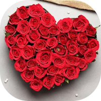 WASticker Love