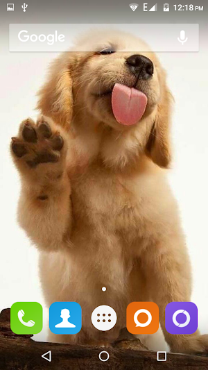 Golden Retriever Dog Wallpaper Screenshot 0