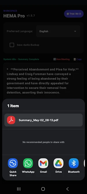HEMA Transcriber Screenshot 2