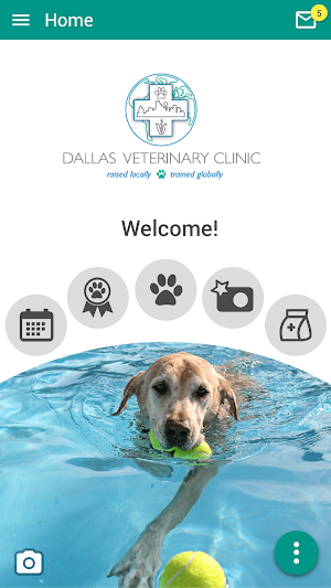Dallas Veterinary Clinic Screenshot 0