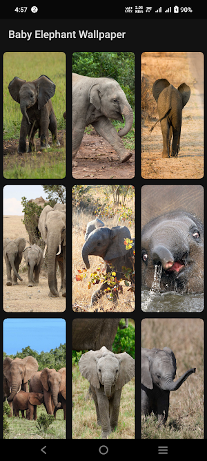 Baby Elephant Wallpaper Screenshot 2