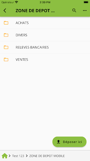 Sofico France Screenshot 2