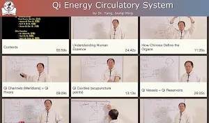 Qi Energy Video Lesson Screenshot 1