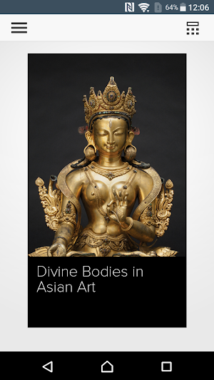Divine Bodies in Asian Art Screenshot 0
