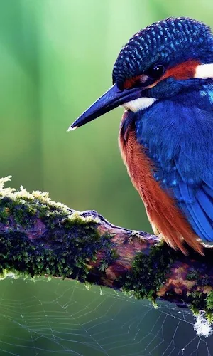 Streamlined Night Day HD Theme Screenshot 2