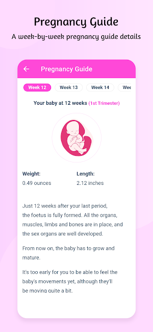 Pregnancy Apps & Baby Tracker Screenshot 2