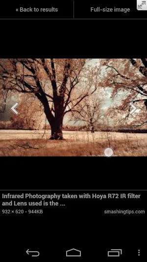 Full Screen Private Browsing Screenshot 2
