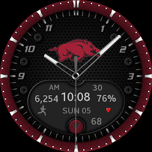 Arkansas Razorbacks Premium Screenshot 2