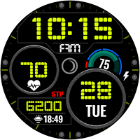ALX04 LCD Watch Face