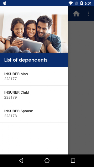 IBL Provident Screenshot 0