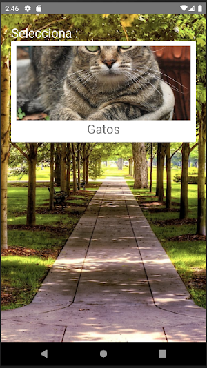 Rompecabezas de Gatos Screenshot 0