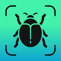 Insect Identifier - Insectium
