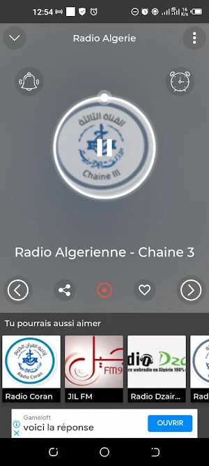 Radio Algérie Screenshot 3