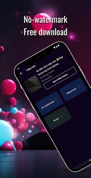 Tik Downloader NoMark Editable Screenshot 2