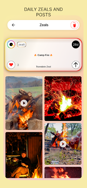 Zealt Screenshot 1