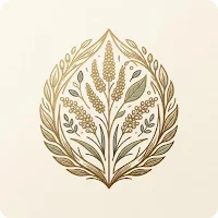 No Gluten Recipes 365