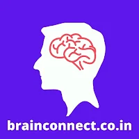 Brain Connect