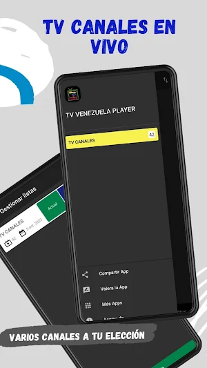 TV VENEZUELA PLAYER Screenshot 1