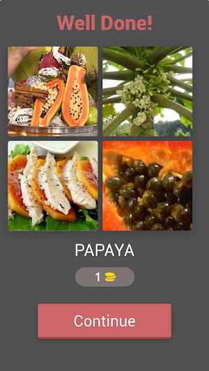 FIND THE WORD IN 4 PICS 2024 Screenshot 1