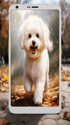 Bichon Frise Wallpapers Screenshot 3