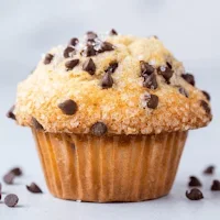 Muffins Recipes Without Eggs