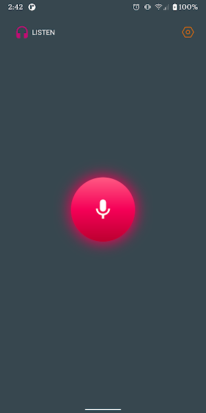 Dictaphone Screenshot 0