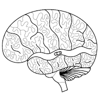 LIFESPACE Research