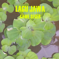LAGU JAWA GAWE SEGER