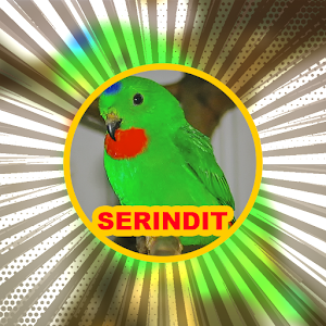 Suara Serindit: Hanging Parrot Screenshot 2
