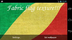 Congo Flag Screenshot 1