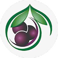 Casa do Açaí