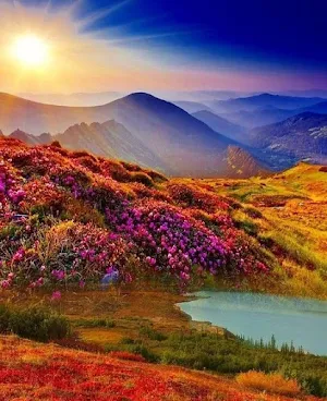 Beautiful landscapes Screenshot 1