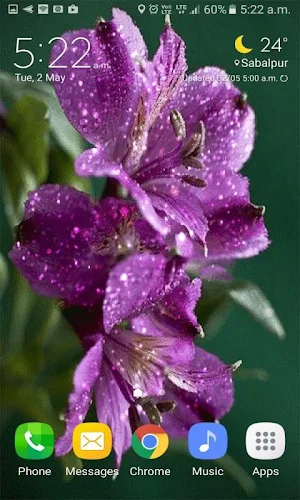 Purple Flowers Shine LWP Screenshot 1
